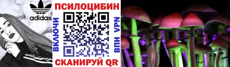 Галлюциногенные грибы GOLDEN TEACHER Козьмодемьянск